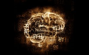 cropped-Brain-ww.jpg